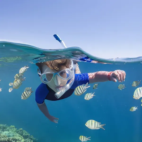 Young snorkeler swimming among striped tropical fish