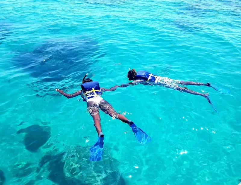 Two people snorkeling hand in hand in clear Islamorada water