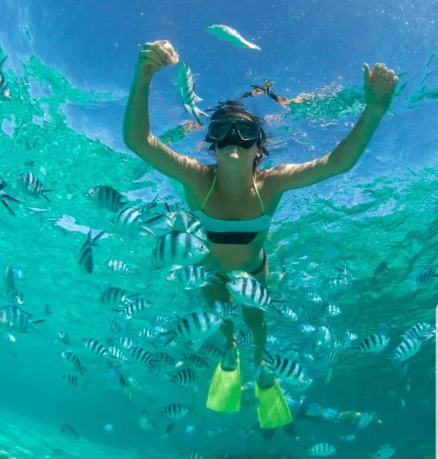 Woman snorkeling with a school of fish in Islamorada