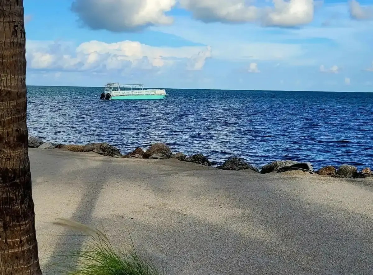 A teal boat floats on deep blue water, viewed from a sandy shore lined with rocks and a palm tree