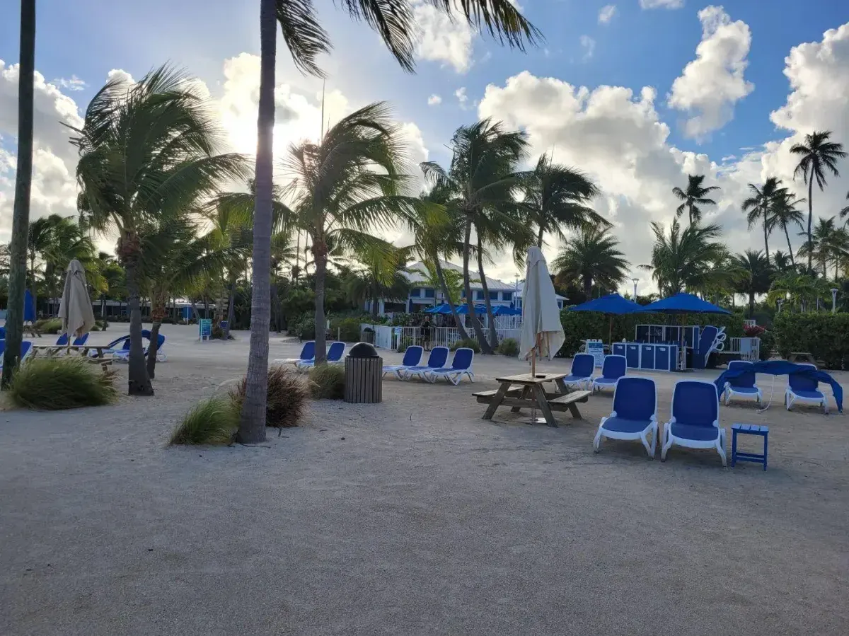 Blue lounge chairs and wooden picnic tables sit on a sandy beach surrounded by palm trees under a bright, cloud-filled sky
